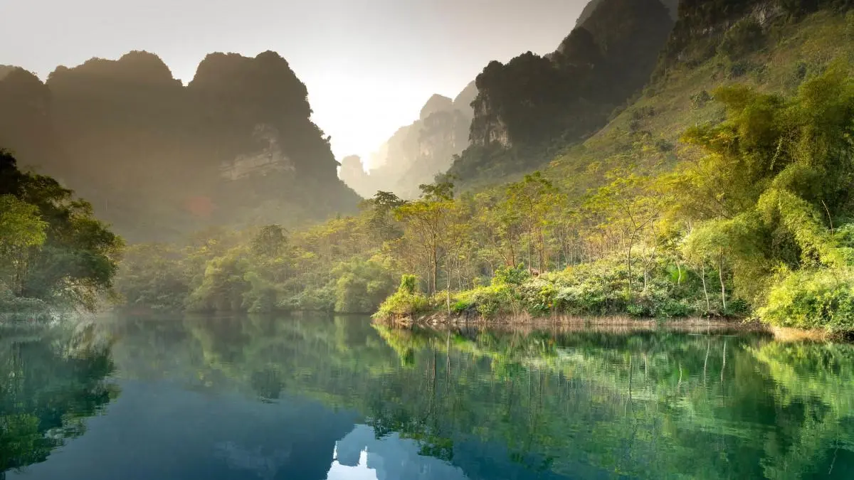 高标准全自动高端